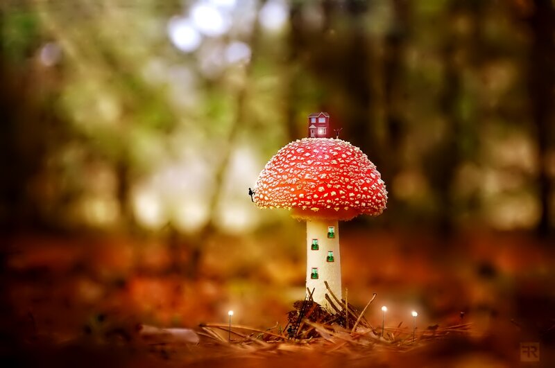 Mushroom House in Forest — Red