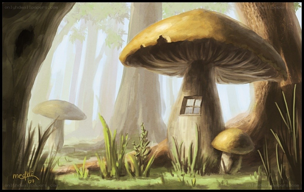 Mushroom house in forest