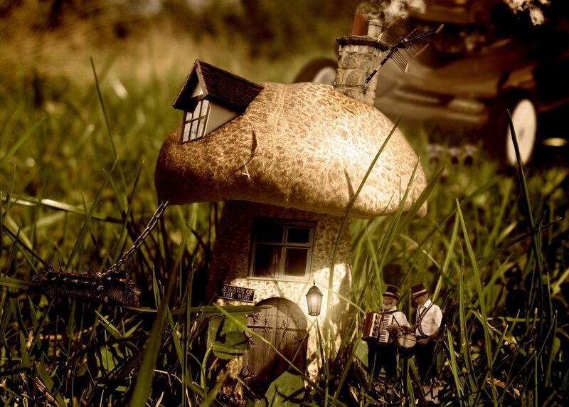 Mushroom house in the grass