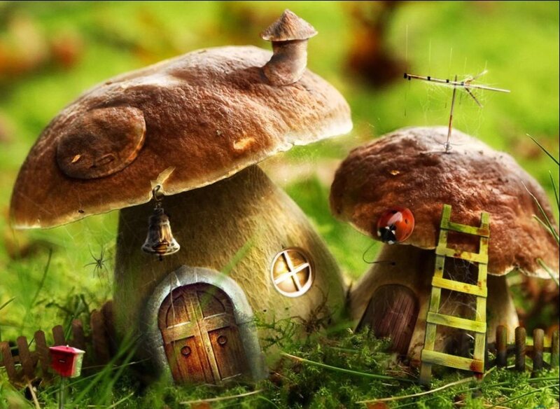 Mushroom houses in a forest
