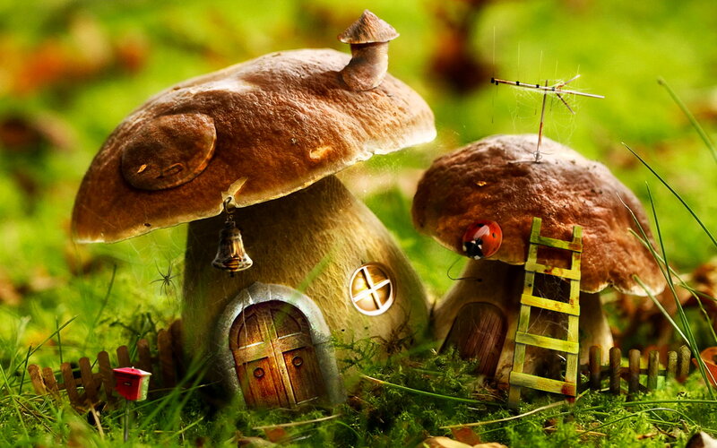 Mushroom houses in a forest