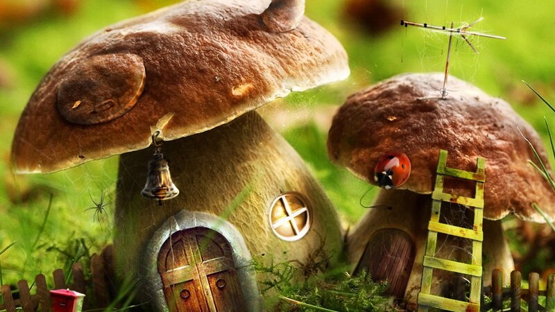 mushroom houses in a forest
