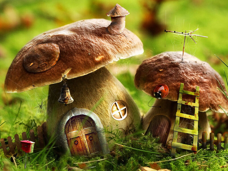 Mushroom houses in a forest