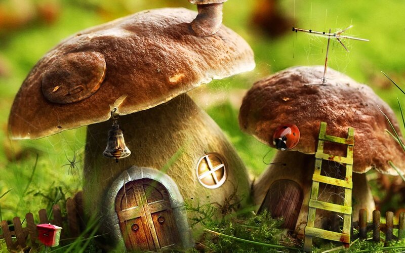 Mushroom houses in a forest
