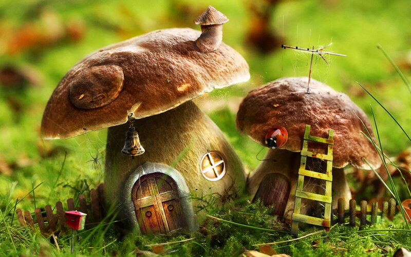 Mushroom houses in a forest