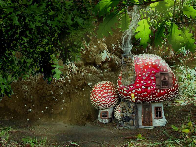 Mushroom Houses in Forest