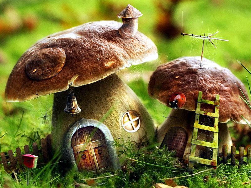 Mushroom Houses in Grass — Green, Whimsical