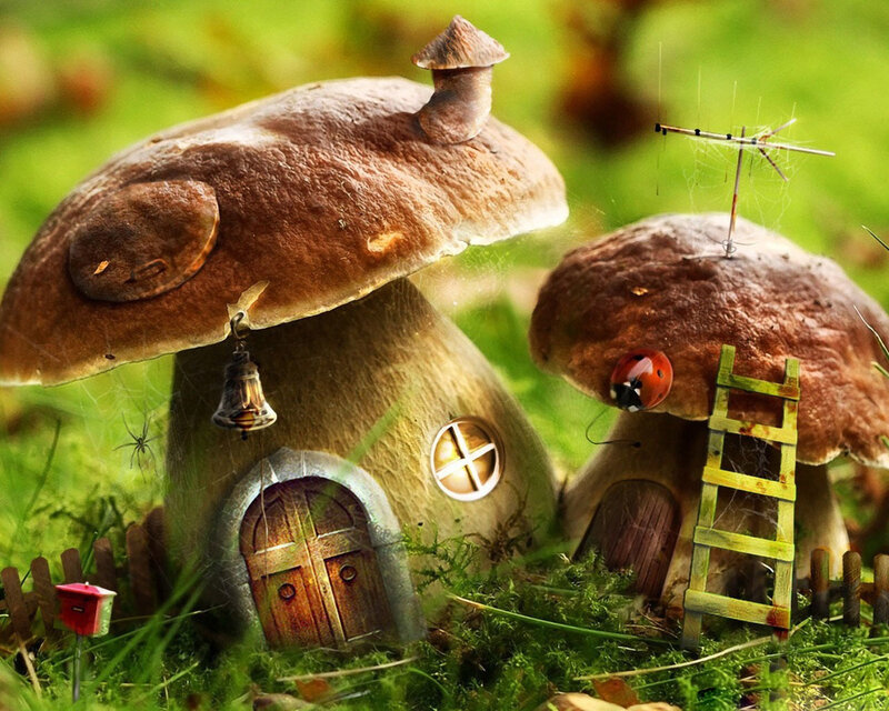 Mushroom Houses in Grass