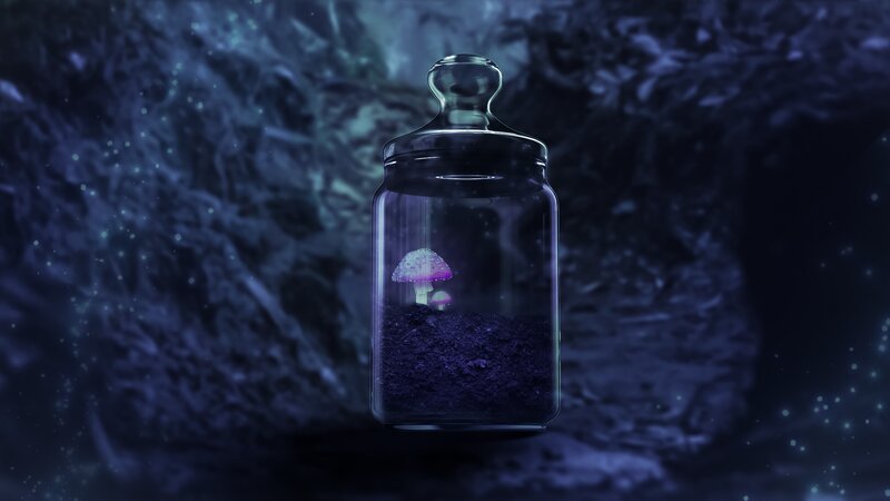 Mushroom in a Jar