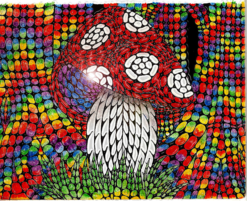 Mushroom in Colorful Pattern