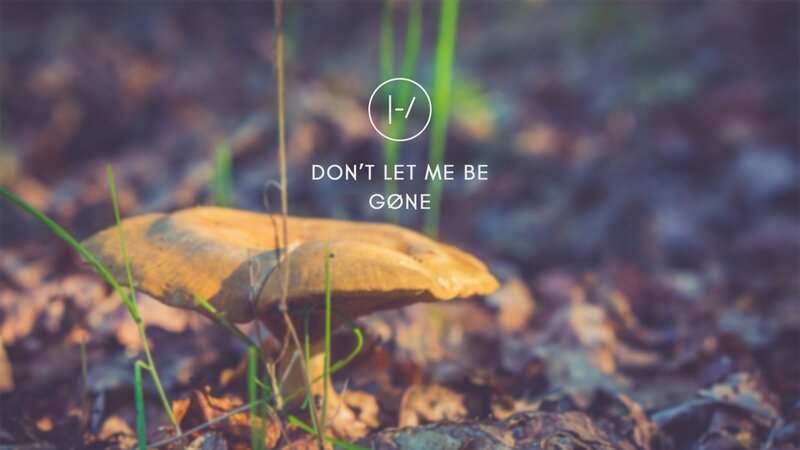 Mushroom in Forest — Brown, Serene, Photograph