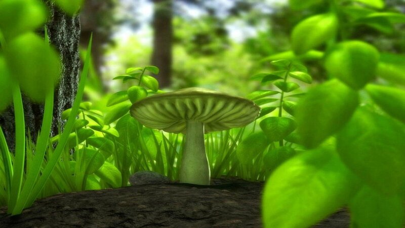 Mushroom in Forest — Green, Serene