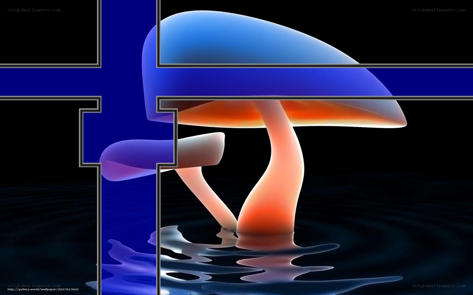Mushroom in water