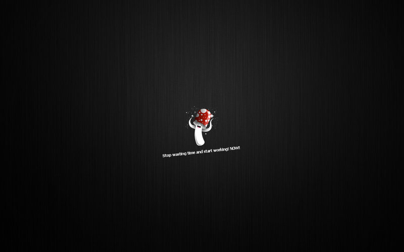 mushroom motivational wallpaper