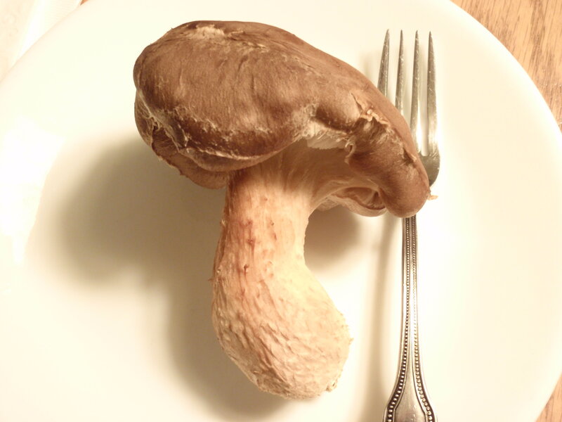 mushroom on a white plate