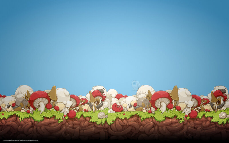 Mushroom Patch on Soil