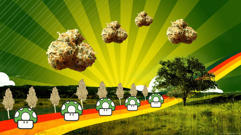 Mushroom path with cannabis