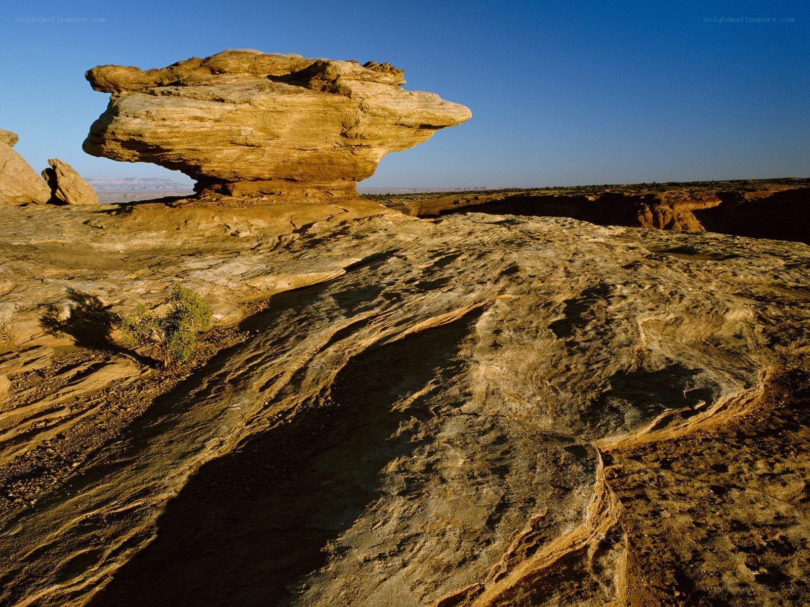Mushroom rock formation in desert
