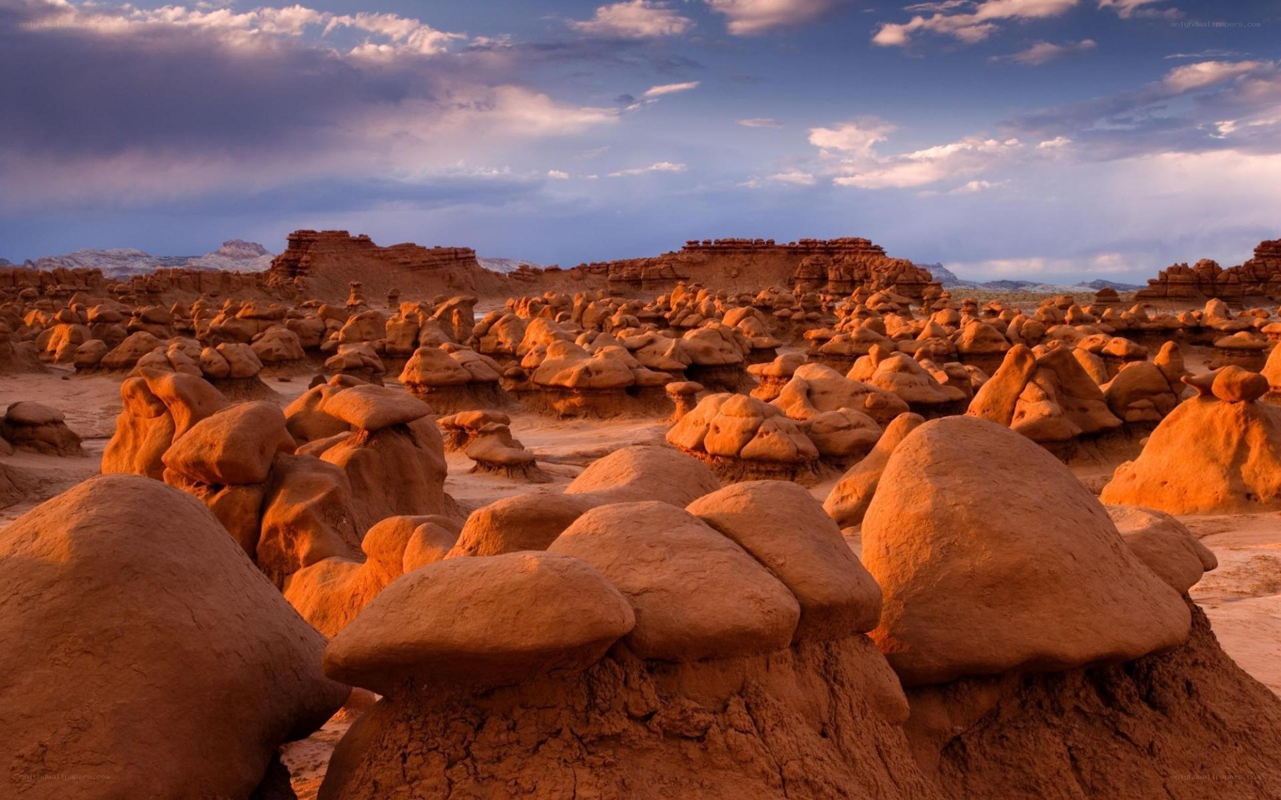Mushroom rocks in desert