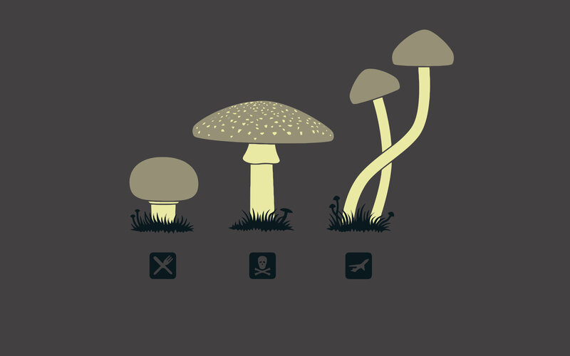 Mushroom safety icons