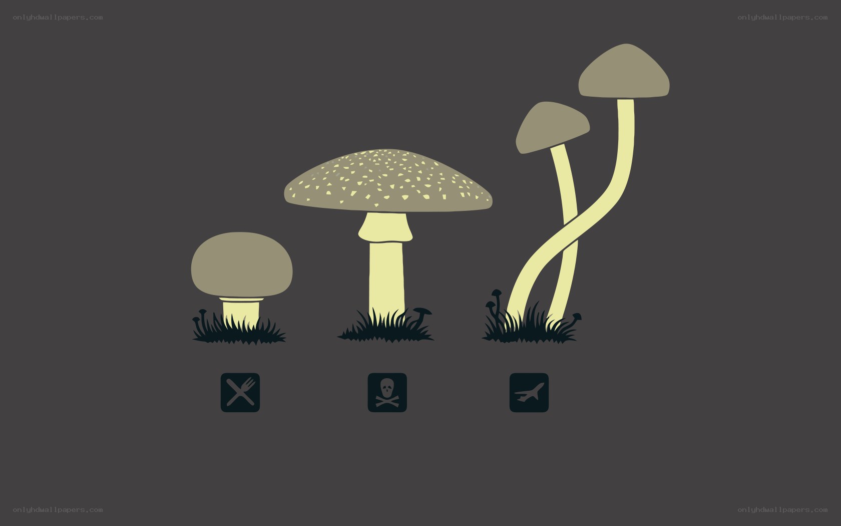 Mushroom safety icons