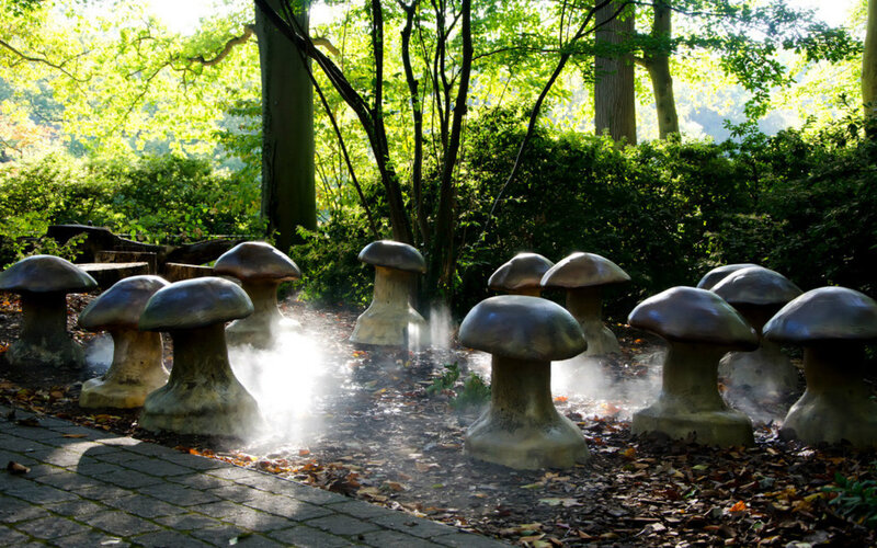 Mushroom Sculptures in Forest