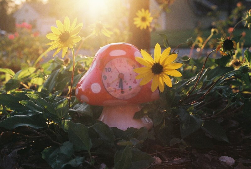 Mushroom-shaped Clock
