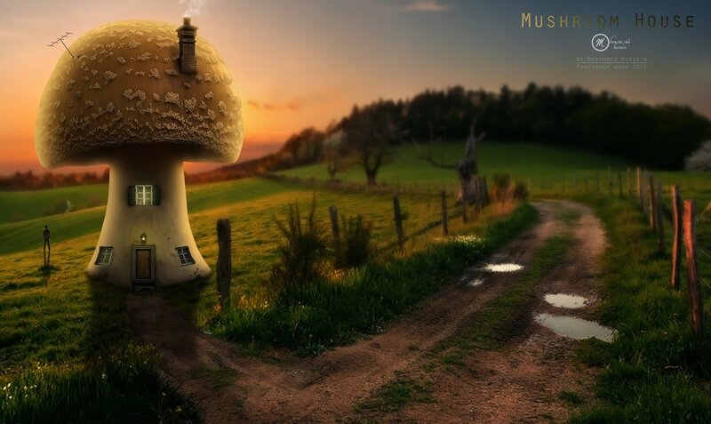 Mushroom-shaped House