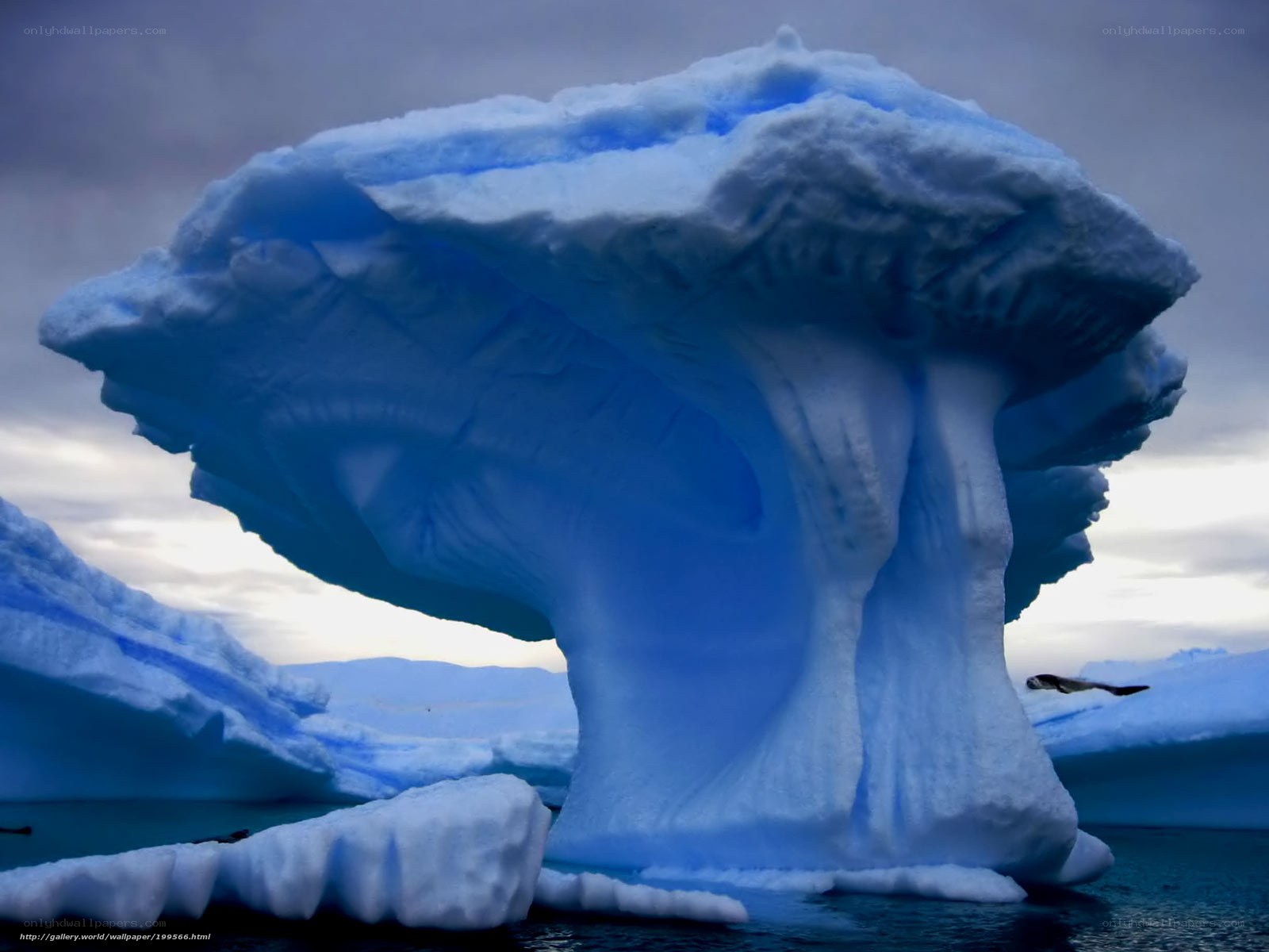 Mushroom-shaped iceberg