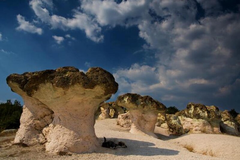 Mushroom-shaped Rocks