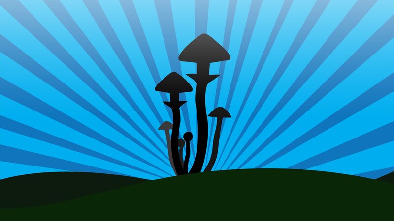 Mushroom Silhouettes