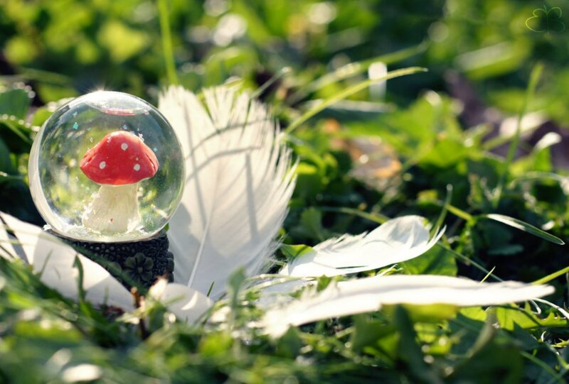 Mushroom Snow Globe