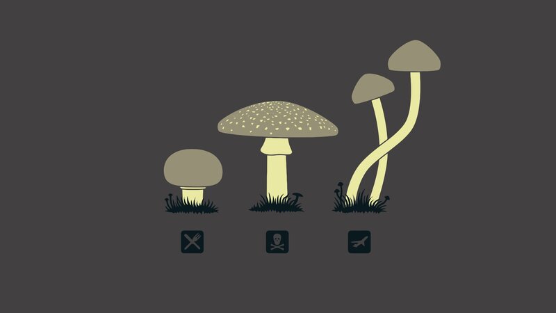 Mushroom toxicity guide