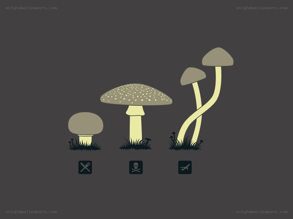 Mushroom toxicity icons