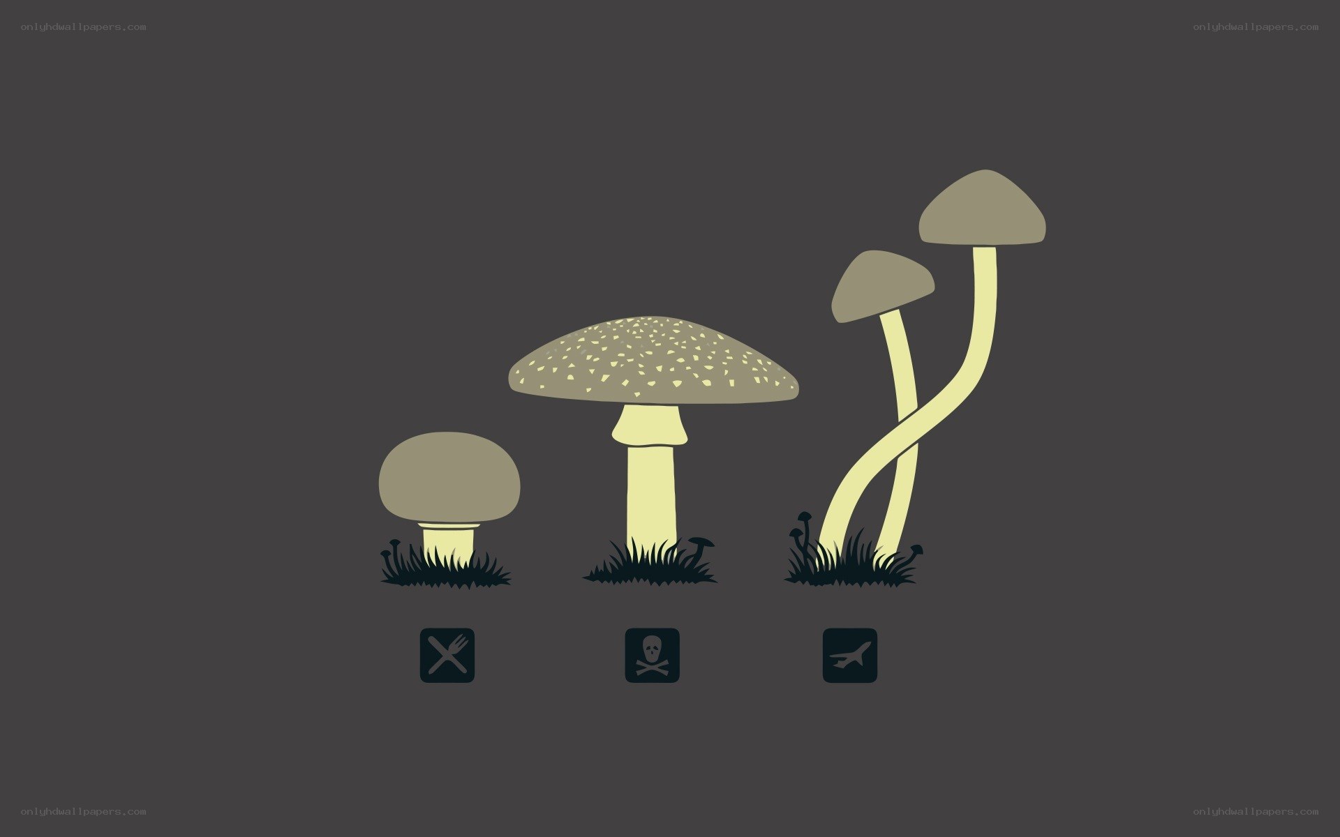 Mushroom toxicity levels