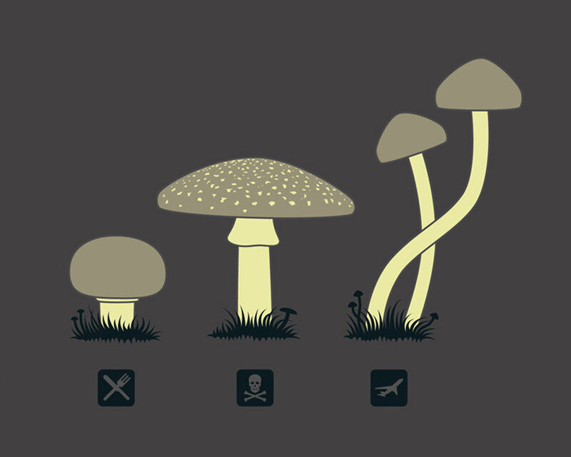 Mushroom toxicity levels