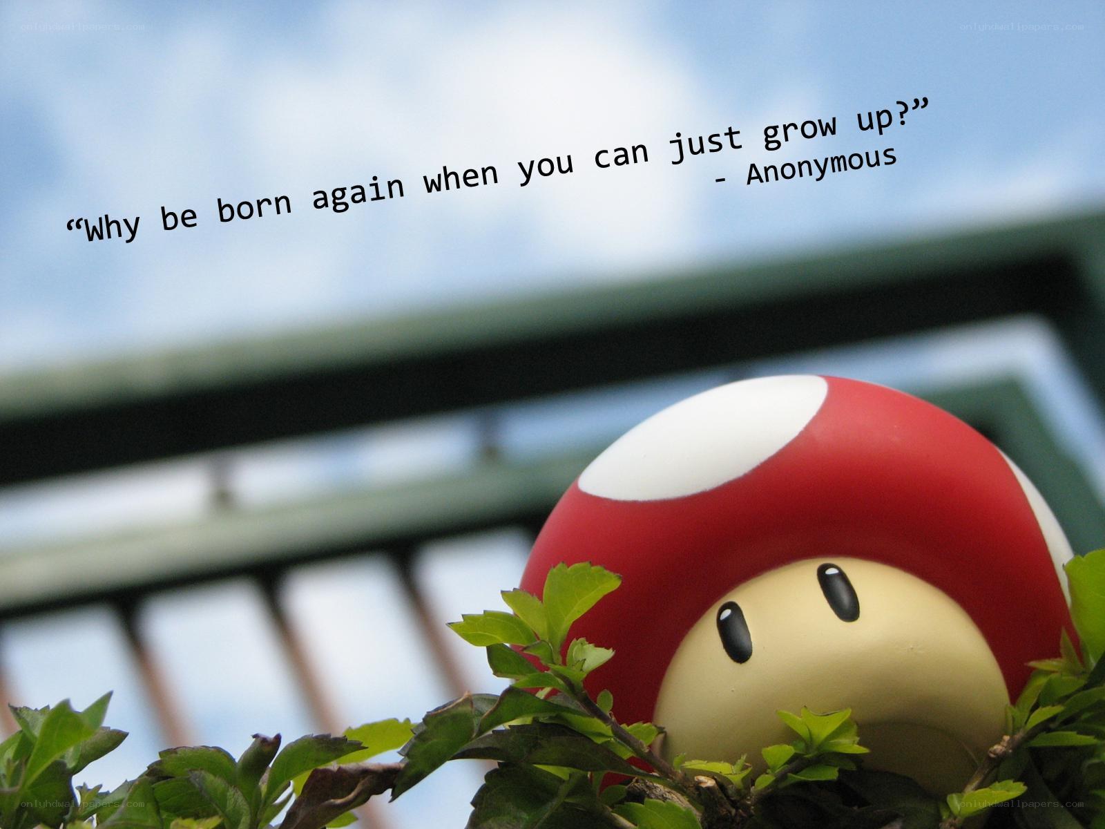 mushroom toy in plants