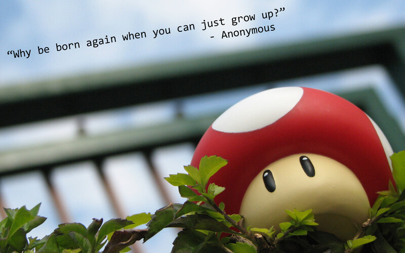 mushroom toy in plants