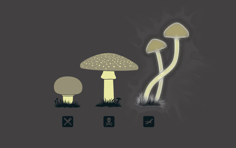 Mushroom types and effects