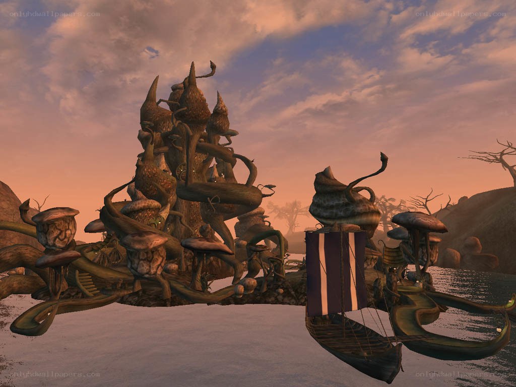 mushroom village at sunset