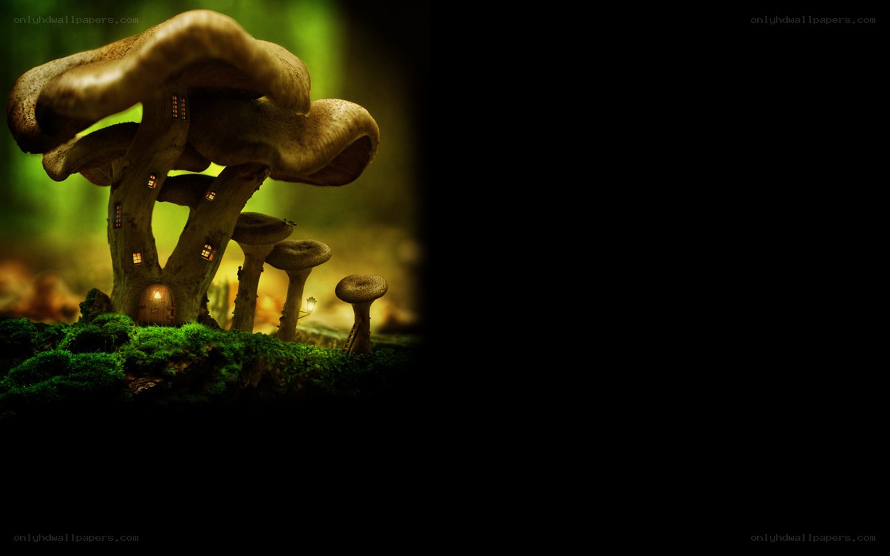 mushroom village in forest