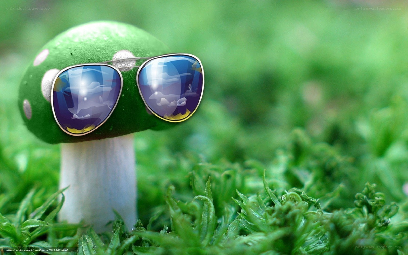mushroom wearing sunglasses