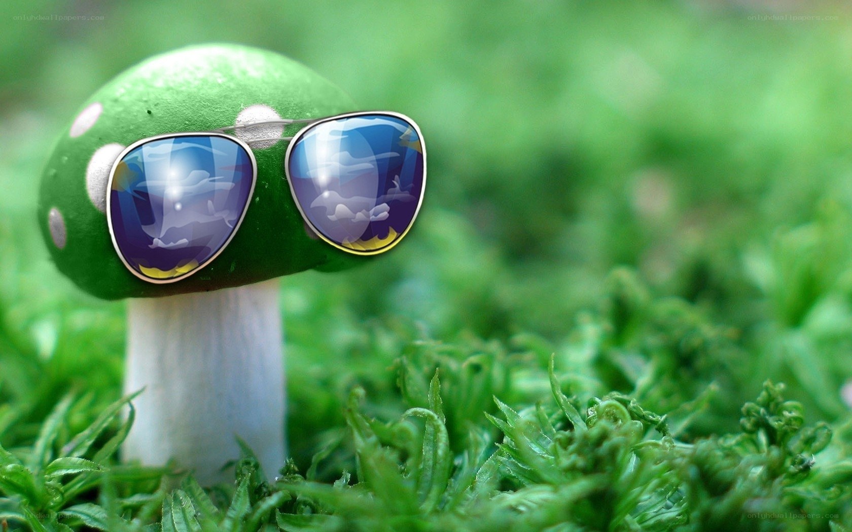 mushroom wearing sunglasses