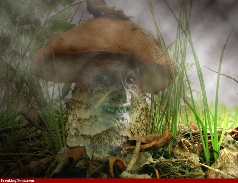 Mushroom with Face