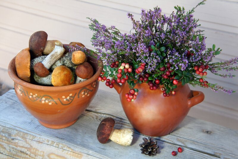 Mushrooms and Berries in Pots