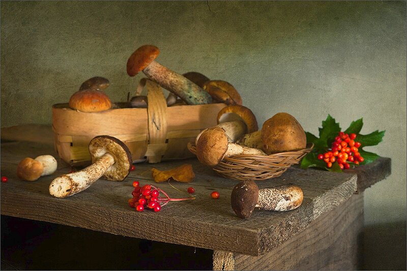 Mushrooms and Berries
