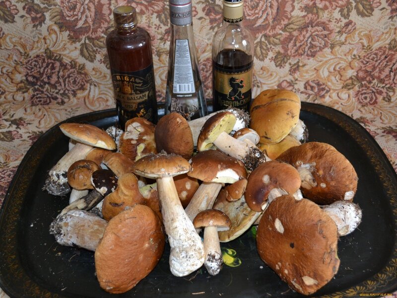 mushrooms and bottles on tray