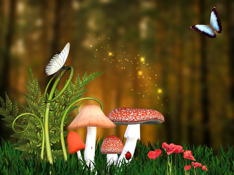 Mushrooms and Butterflies — Green, Serene