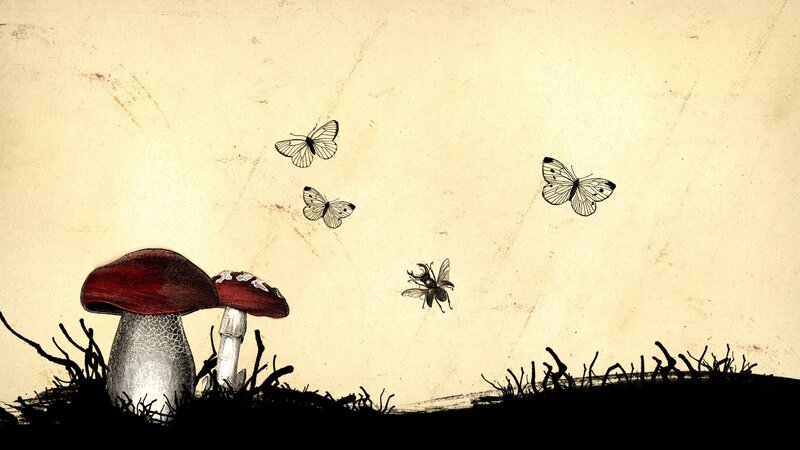 Mushrooms and butterflies illustration