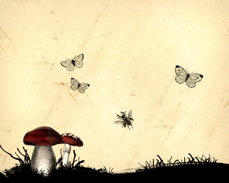 Mushrooms and butterflies illustration
